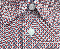 Calchemise Peau de Serpent